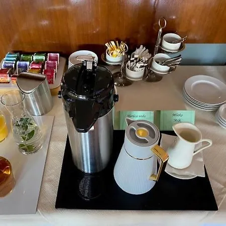 Отель Pavla Пьештяни