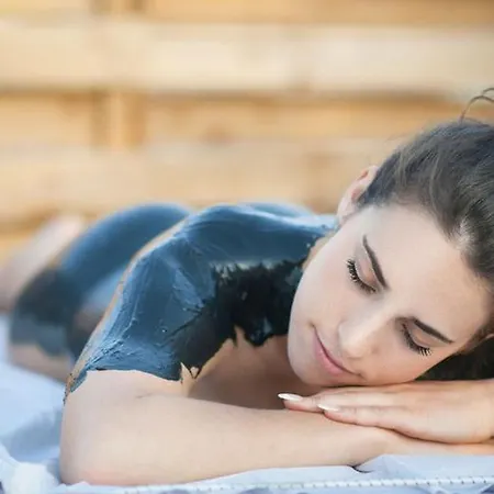 فندق فندق Pavla 4*